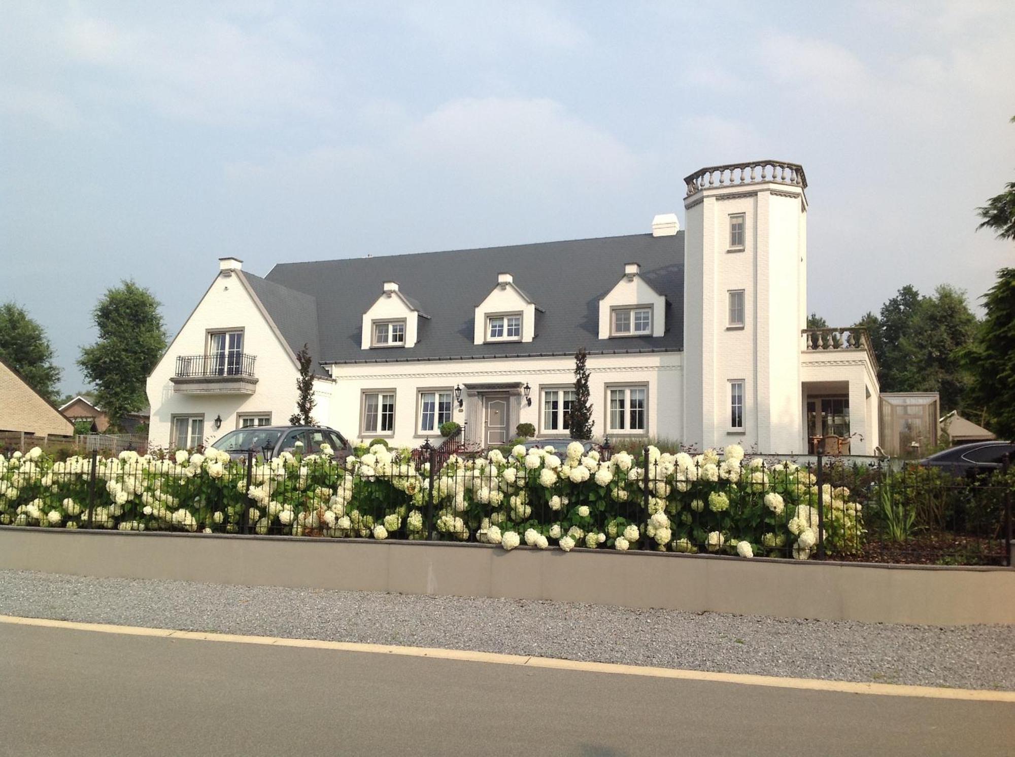 Villa Reynaert Opoeteren Exterior foto